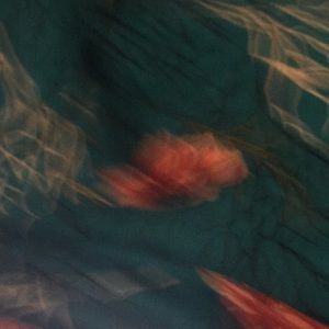 Meet your Posher, Koroon